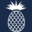 42buckhillroad.com favicon
